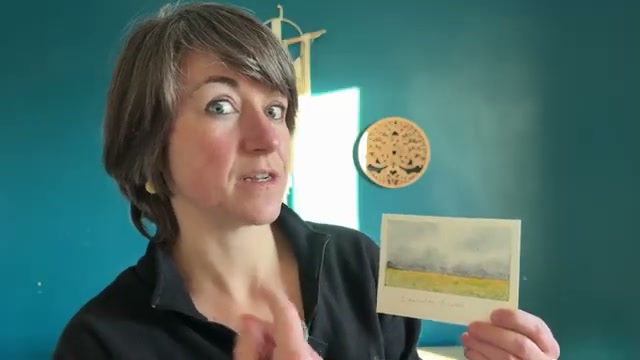 Explication des différentes applications du sel au-delà du givre, montrant les textures de végétaux obtenues dans le sol du paysage