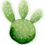Les Cactus