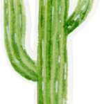 Les Cactus
