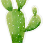 Les Cactus