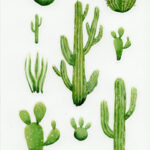 Les Cactus