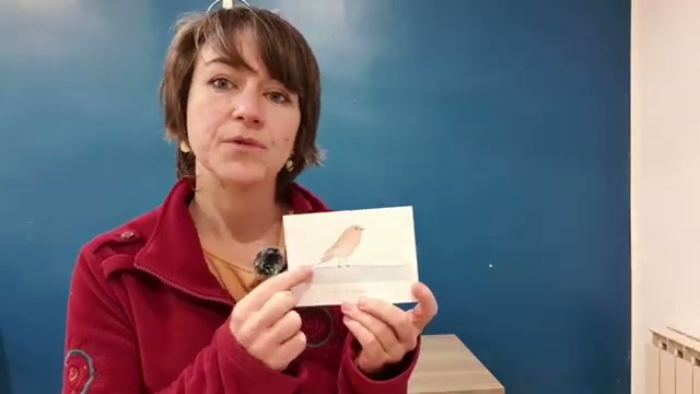 Vue du rouge-gorge terminé avec le scotch retiré, l'artiste récapitule les apprentissages : donner des formes aux lavis directement au pinceau