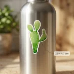 Les Cactus
