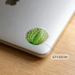 Les Cactus