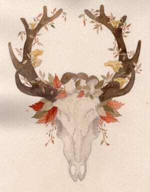 Illustration aquarelle : Silence des bois – Image 2